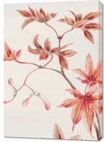 Obraz 70x100cm Branch of Momiji, Morikaga Japoński Vintage