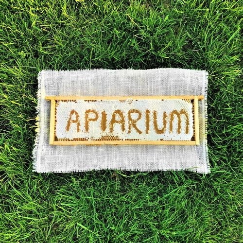 Świeży Miód LIPOWY z Lubelszczyzny NATURALNY na Arena.pl