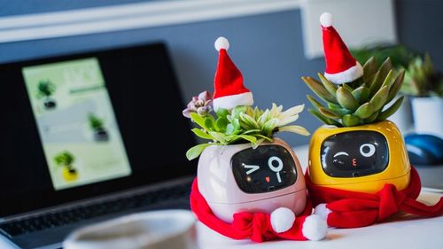 Inteligentna doniczka IVY SMART PLANTER osłonka na donicę PLANTSIO RÓŻOWA na Arena.pl