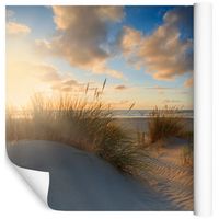 Fototapeta Wydmy KRAJOBRAZ Piasek Plaża do Salonu 270x180
