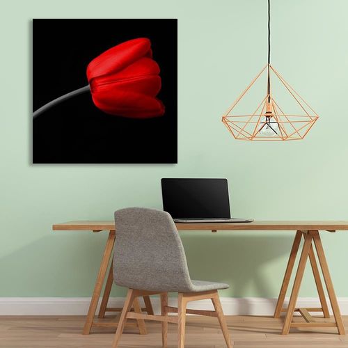 Deco Panel, Czerwony tulipan 80x80 na Arena.pl