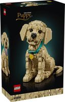 11384 - LEGO Icons - Szczeniak golden retriever