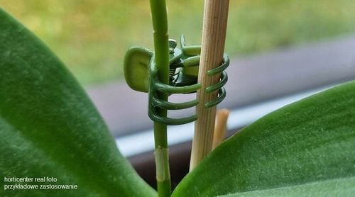 SPINKI DO STORCZYKÓW klipsy do podpór - 100szt. na Arena.pl