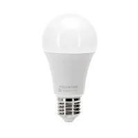 Inteligentna żarówka WiFi WB A60 E27 15W=98W 1500lm RGB+CCT