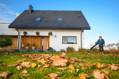 CEDRUS DM05 PRO PROFESJONALNY ODKURZACZ  DMUCHAWA SPALINOWA OGRODOWA DO LIŚCI - OFICJALNY DYSTRYBUTOR - AUTORYZOWANY DEALER CEDRUS na Arena.pl