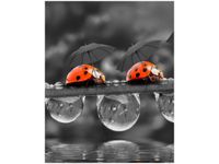 40X50CM SPACEREK OBRAZ