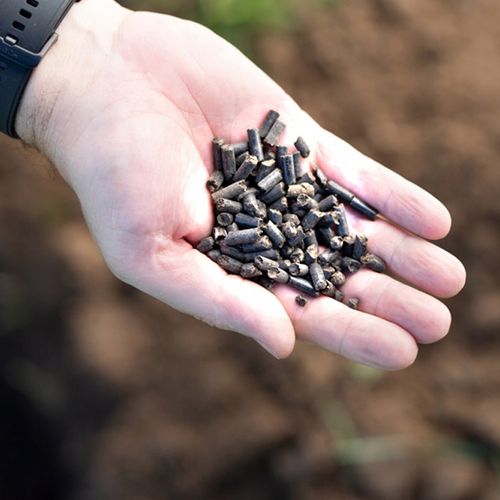 OBORNIK GRANULOWANY KURZY 19kg NATURALNY NAWÓZ ORGANICZNY 31L EKO na Arena.pl