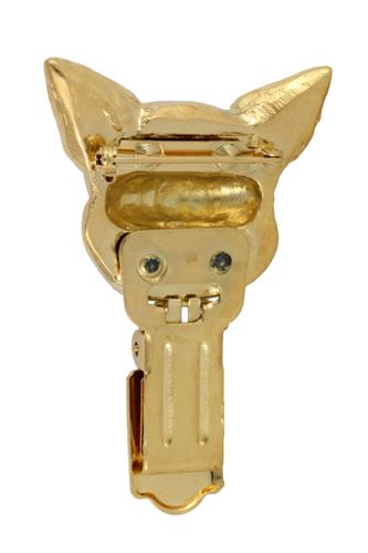 Chihuahua - klips - 1042 na Arena.pl