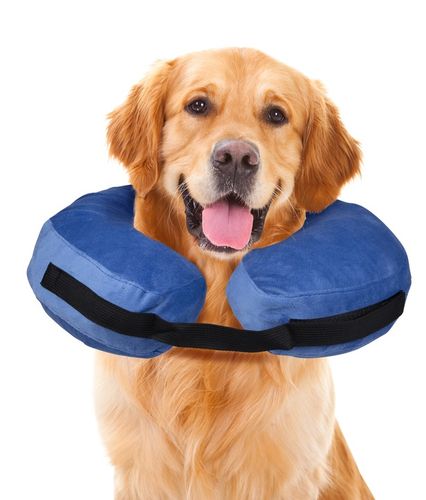 Kołnierz pooperacyjny ochronny dla psa DMUCHANY L na Arena.pl