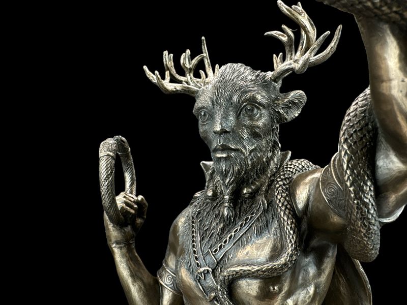 POPIERSIE CERNUNNOSA VERONESE WU77949A1 zdjęcie 3