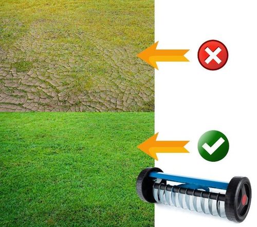 WERTYKULATOR AERATOR TRAWNIKA RĘCZNY NAPOWIETRZACZ WAHADŁOWY DO TRAWY KOLCE na Arena.pl