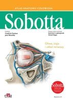 Atlas anatomii człowieka Sobotta Angielskie