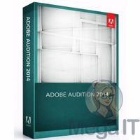 Audition 2014 - Licencja Wieczysta (LifeTime) - Windows - Licencja Biznes - BOX (ESD)