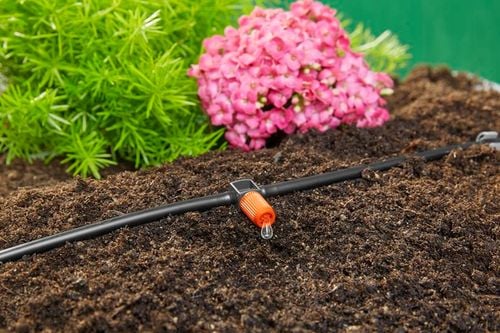 zestaw podstawowy s do roślin doniczkowych - hg-13000-20 na Arena.pl