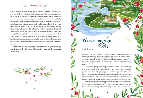 Cudowna podróż. Tom 1 na Arena.pl