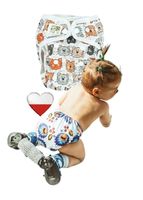 Pieluszka Wielorazowa OTULACZ PUL KOTY Pieluszki NappiMe