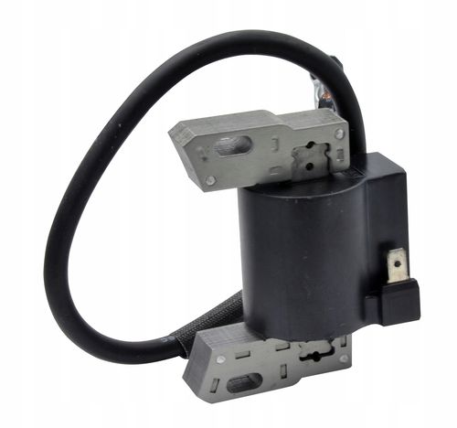 CEWKA ZAPŁONOWA BRIGGS&STRATTON 3,5KM - 4,5KM na Arena.pl