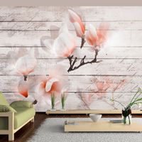 Fototapeta - Subtelność Magnolii 300x210