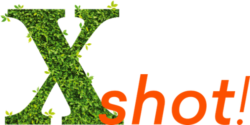 Colway Xshot Suplement diety 10szt na Arena.pl