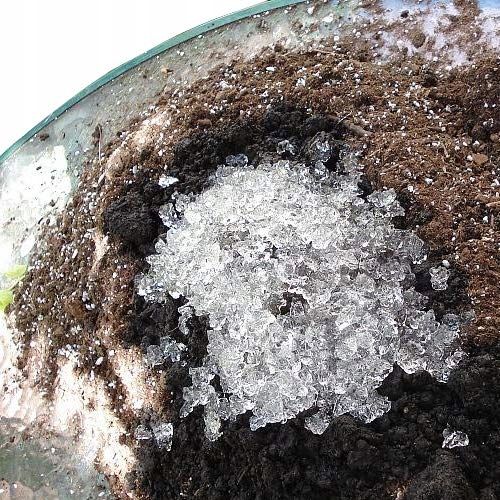 AGROŻEL Hydrożel Ogrodniczy do Roślin 2 Kg na Arena.pl