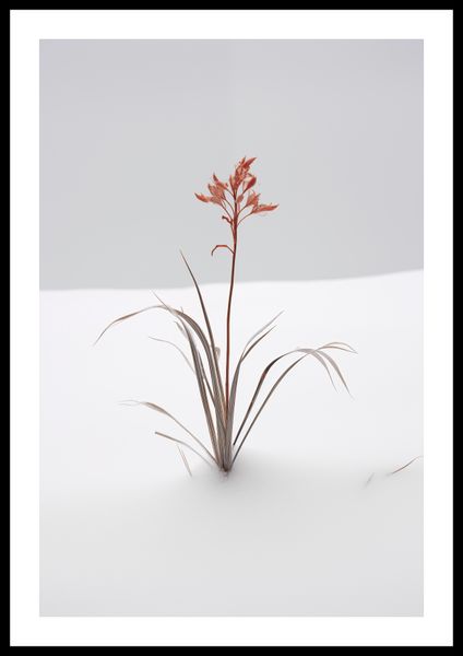 Plakat 40x60cm Subtelność Natury zdjęcie 3