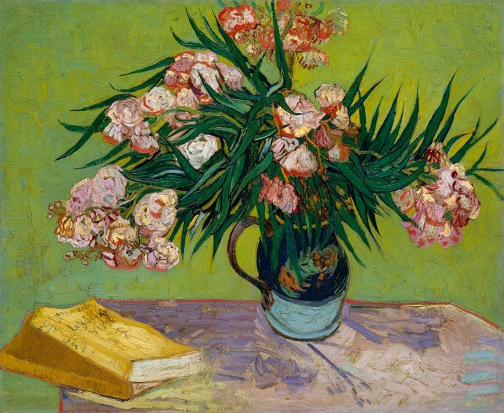 Oleanders, Vincent van Gogh - plakat 50x40 cm zdjęcie 1