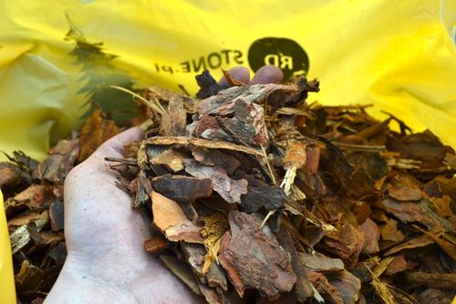 Kora sosnowa sortowana ŚREDNIA 60 l przesiewana na Arena.pl