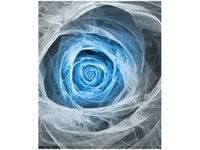 product-compare-58653742