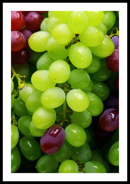 Plakat 40x60cm Winogronowy Kalejdoskop zdjęcie 3