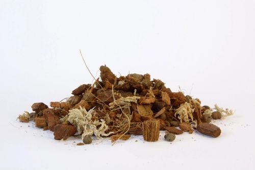 IMSOIL Ziemia Dedykowana do STORCZYKÓW o Średnich i Grubych Korzeniach na Arena.pl