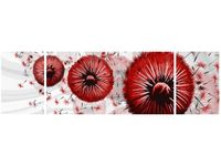 product-compare-58704895