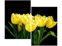 product-compare-58656246