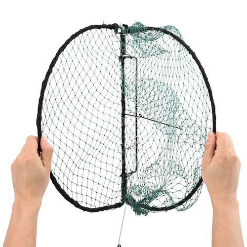 Pułapka na ptaki, zielona, 40 cm, stal na Arena.pl