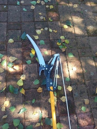 SEKATOR OGRODOWY TELESKOPOWY WYSIĘGNIK PIŁA 2W1 DO GAŁĘZI KRZEWÓW KONARÓW na Arena.pl