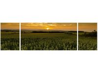 90CM 80 OBRAZ 3 ELEM AYTON JONATHAN COMBE ŚCIENNY