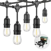 Girlanda ogrodowa LED BAJA ozdobna 10m + 10 żarówek barwa ciepła na taras