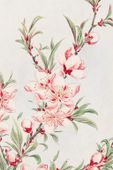 Plakat 20x30cm Peach Tree, Morikaga Japoński Vintage
