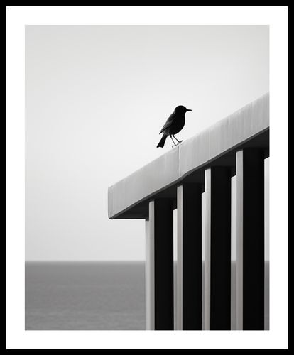 Plakat 40x50cm Samotna Odchłań na Arena.pl