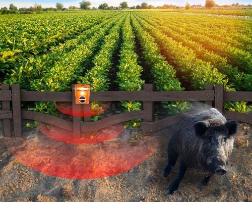 ULTRADŹWIĘKOWY ODSTRASZACZ NA LISY DZIKI SARNY JELENIE BOBRY ZAJĄCE na Arena.pl