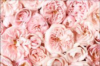 Tło FLAT LAY do fotografii produktowej kulinarnej