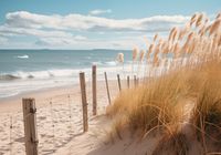 product-compare-59352512