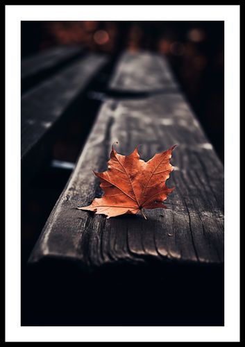 Plakat 40x60cm Pojedynczy Liść na Arena.pl