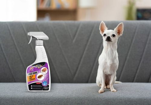 SPRAY ŚRODEK PŁYN NA PCHŁY PREPARAT NA PCHŁY CYPERMETRYNA NO PEST PEST na Arena.pl