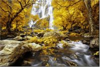 product-compare-58694963