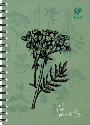 5x Kołozeszyt A4/80 kratka spirala GRUBA Podkładka na Arena.pl