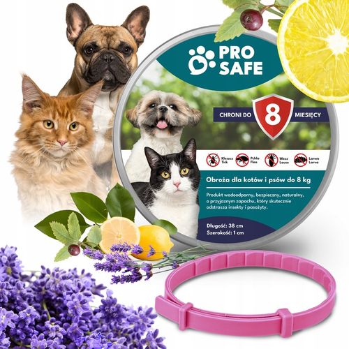 PRO SAFE Obroża na KLESZCZE PCHŁY psów kotów do 8kg ANTYKLESZCZOWA 38cm na Arena.pl