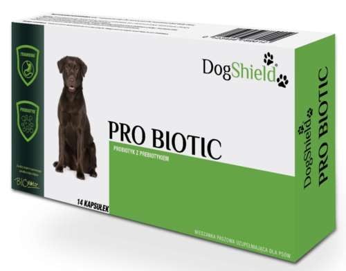 Dogshield Pro Probiotic 21 kaps. na Arena.pl