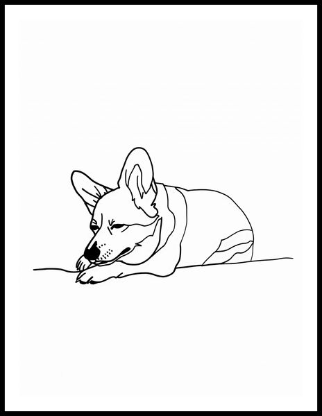 Plakat 60x80cm Śpiący Corgacz zdjęcie 3