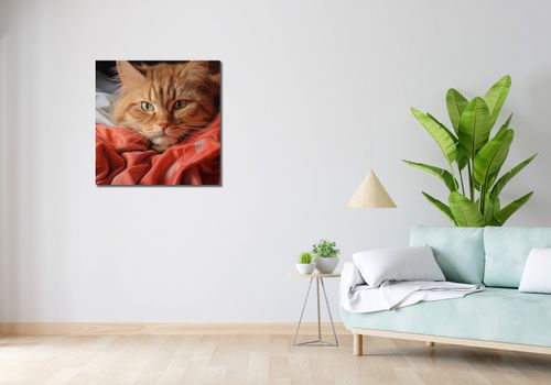 Obraz 70x70cm Mruczący Spokój na Arena.pl