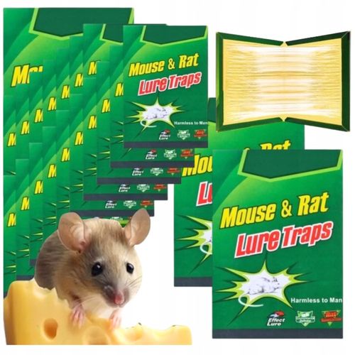 50x LEP na myszy SZCZURY silna pułapka MOCNY KLEJ Aromat MYSZOŁAPKA na Arena.pl